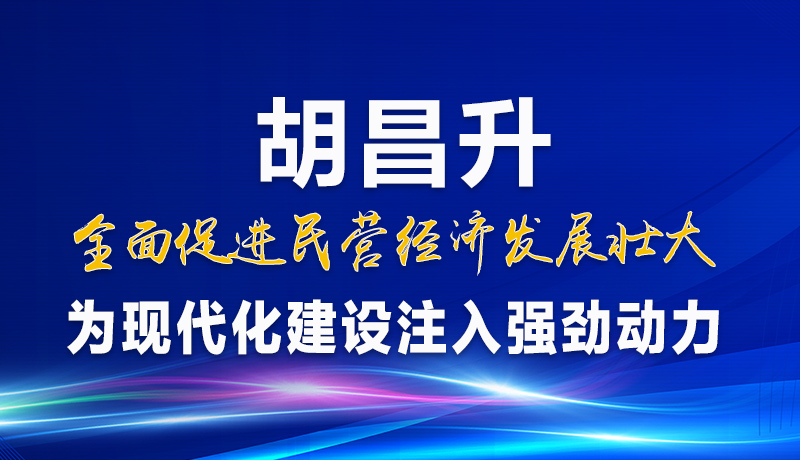 圖解|胡昌升：全面促進民營經濟發展壯大 為現代化建設注入強勁動力