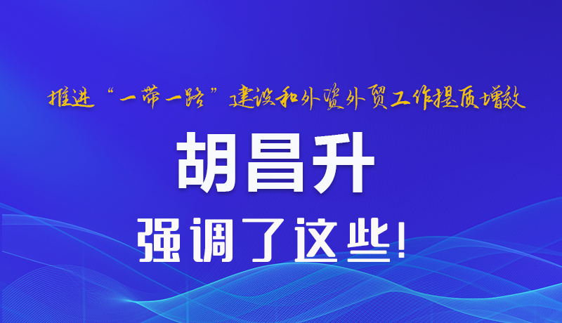 圖解|推進“一帶一路”建設和外資外貿工作提質增效 胡昌升強調了這些 